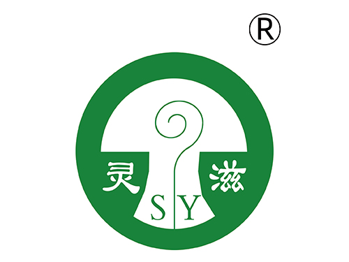 资质