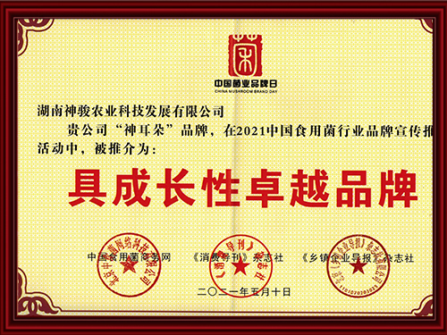 具成长性卓越品牌