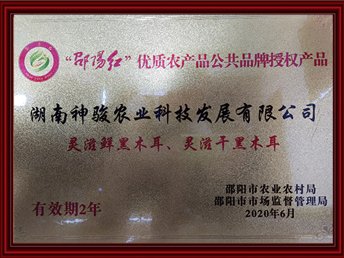 资质
