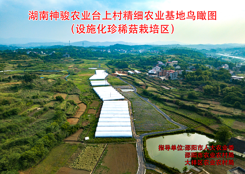 基地鸟瞰图
