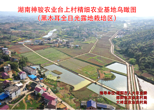 基地鸟瞰图