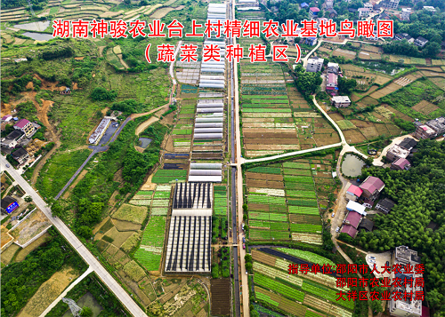 基地鸟瞰图