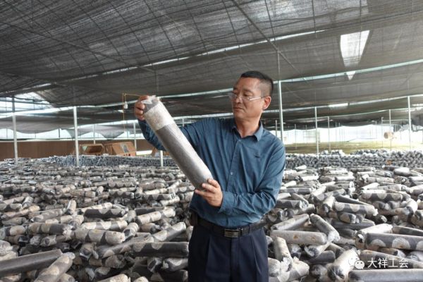 湖南神骏农业科技发展有限公司,湖南神骏农业,神骏农业,邵阳食用菌,邵阳食用菌种植基地
