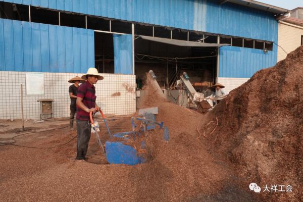 湖南神骏农业科技发展有限公司,湖南神骏农业,神骏农业,邵阳食用菌,邵阳食用菌种植基地